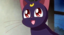 Cantinho do Pirralho] TOP 5 Gatos Pretos em Animes e Mangas